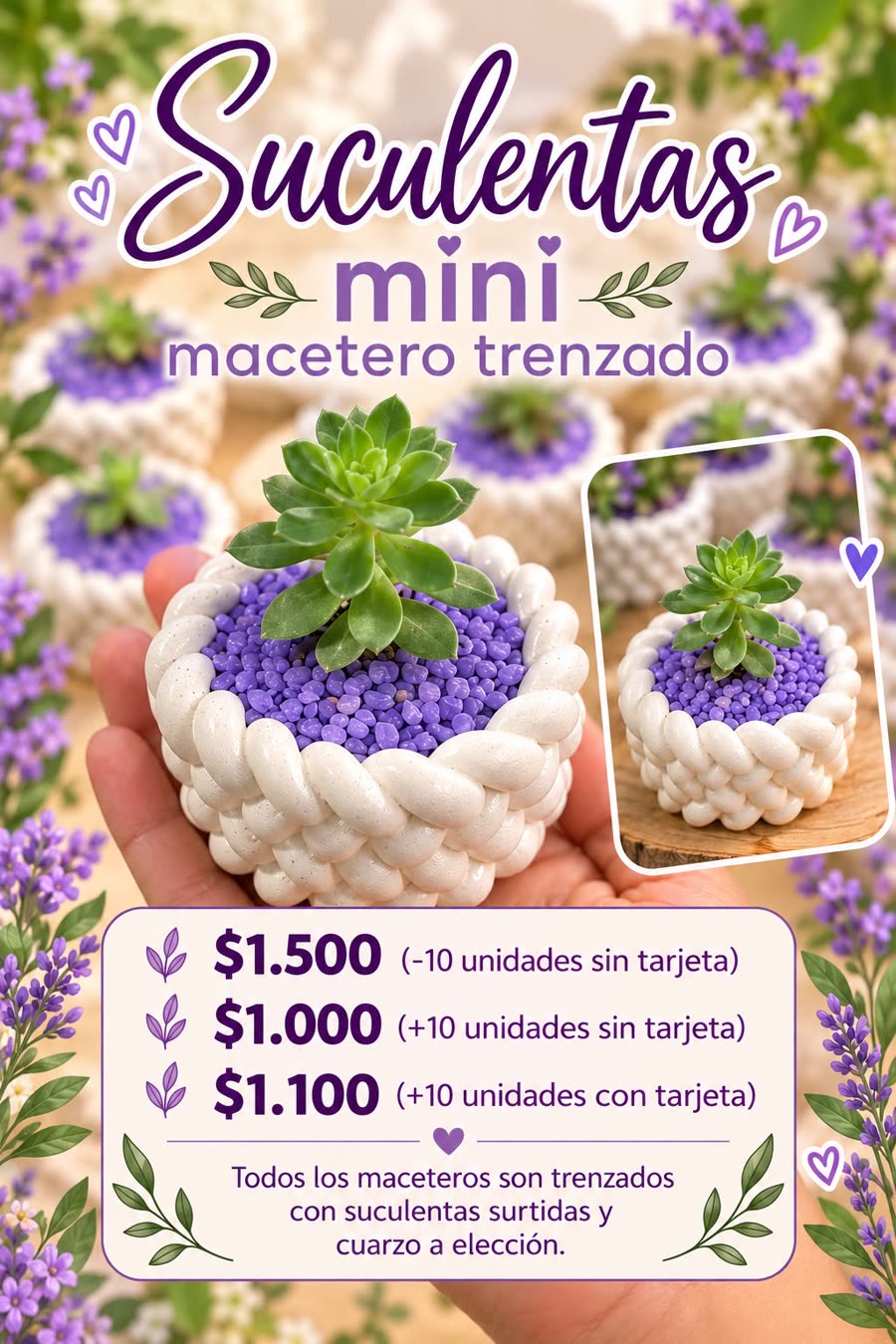 Mini en macetero trenzado: ver en grande