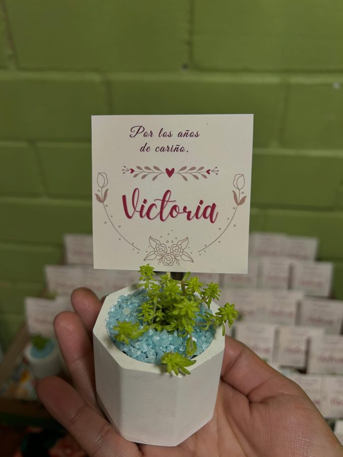 Suculentas para Años de servicio y jubilación