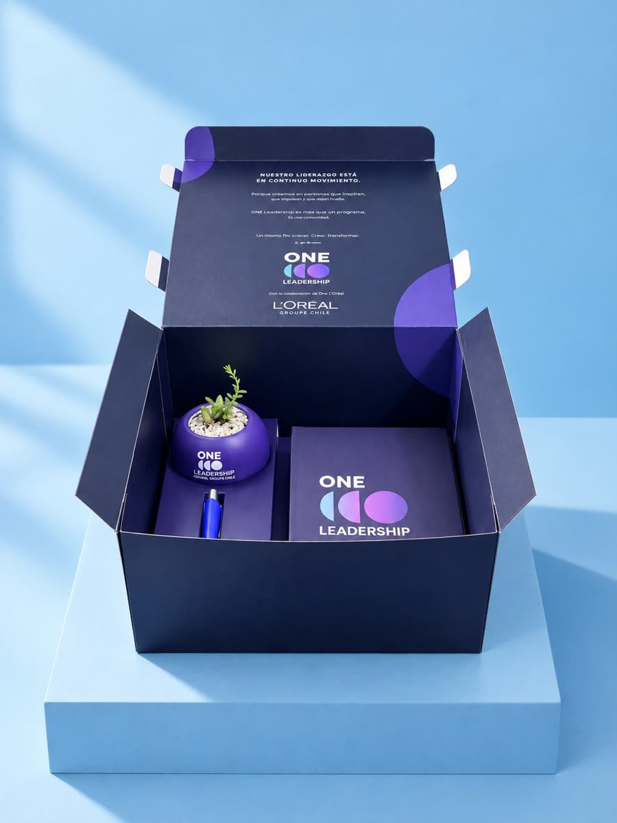 Caja de regalo de L'Oréal con la suculenta en macetero morado