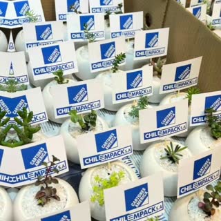 Pedido de Sucu Store