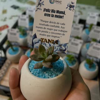 Pedido de Sucu Store